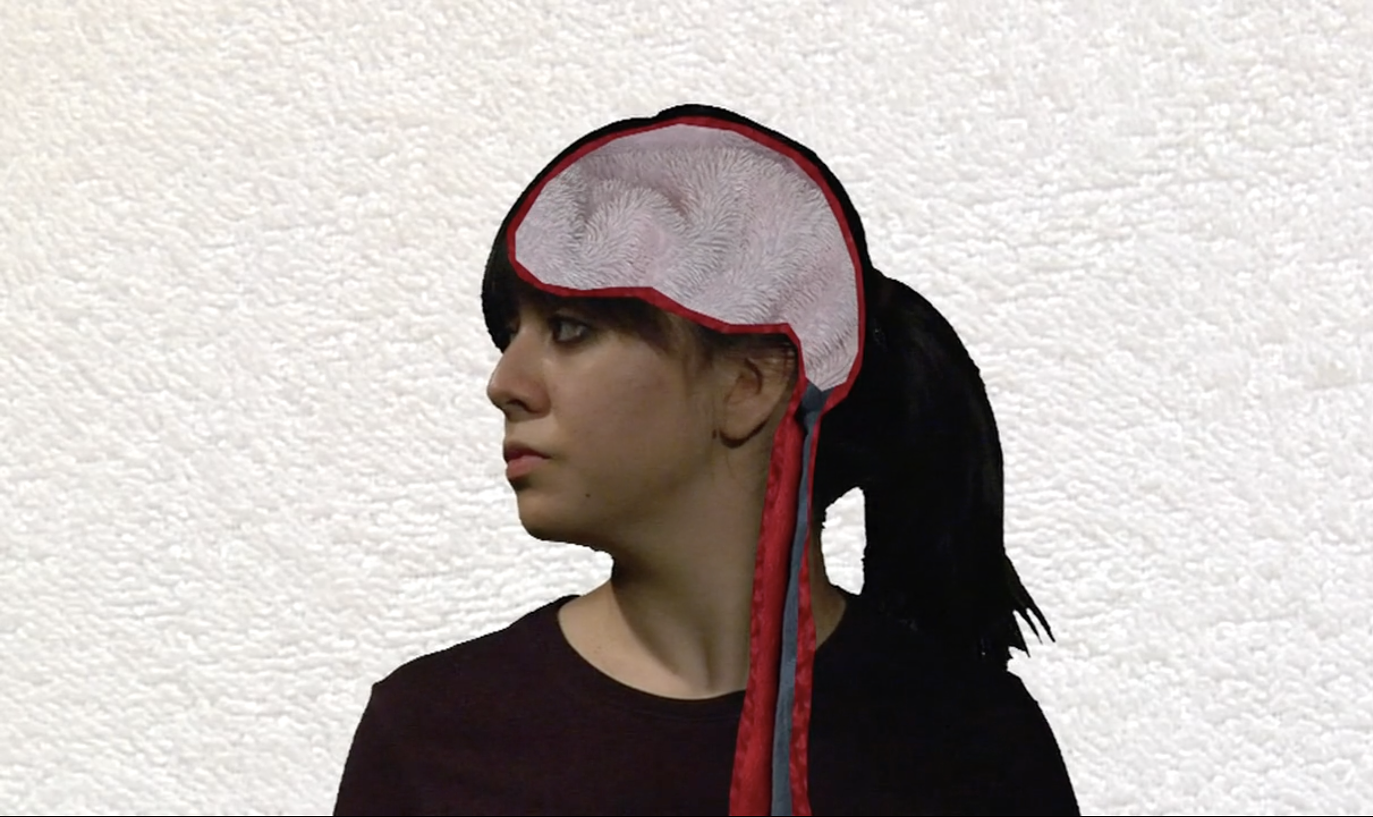 anatoMy: still 1